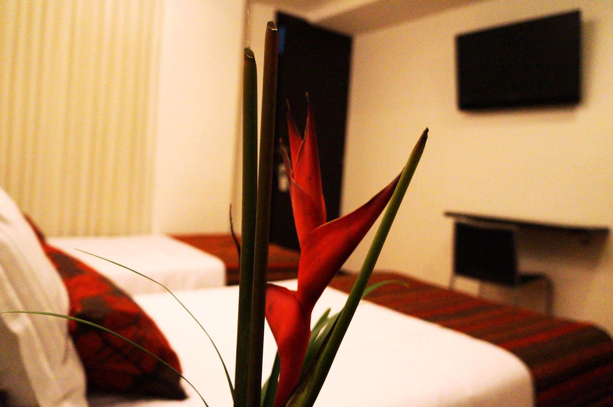 Hotel Airport Travel Богота Экстерьер фото